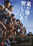 風が.jpg
